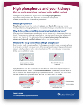 American Kidney Fund phosphorus overview