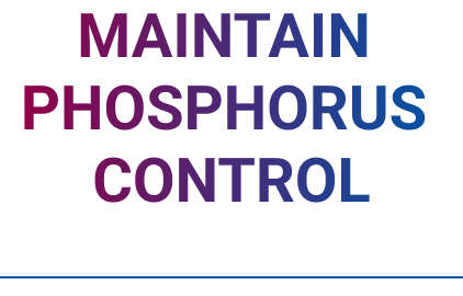 Maintain Phosphorus Control